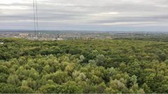 «У мене є мрія – поселити у Львові сім'ю зубрів»