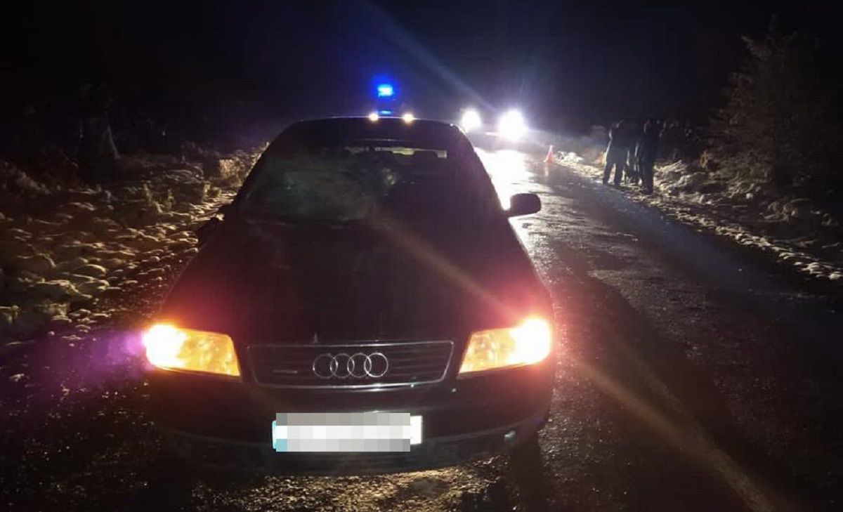 У Самбірському районі п’яний водій Audi на смерть збив жінку на узбіччі 
