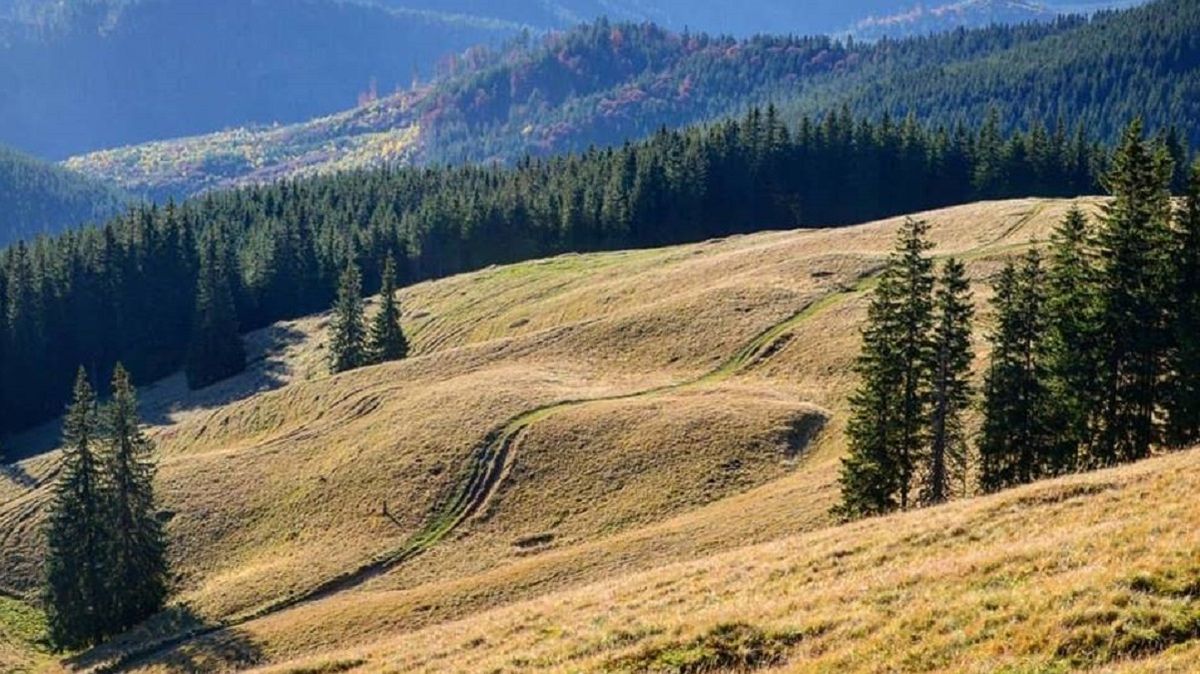 На Старосамбірщині створили національний природний парк «Королівські Бескиди»