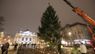 У центрі Львова встановили новорічну ялинку