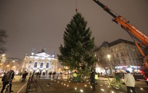 У центрі Львова встановили новорічну ялинку