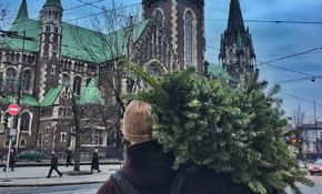 Головні новини Львова за 17 грудня