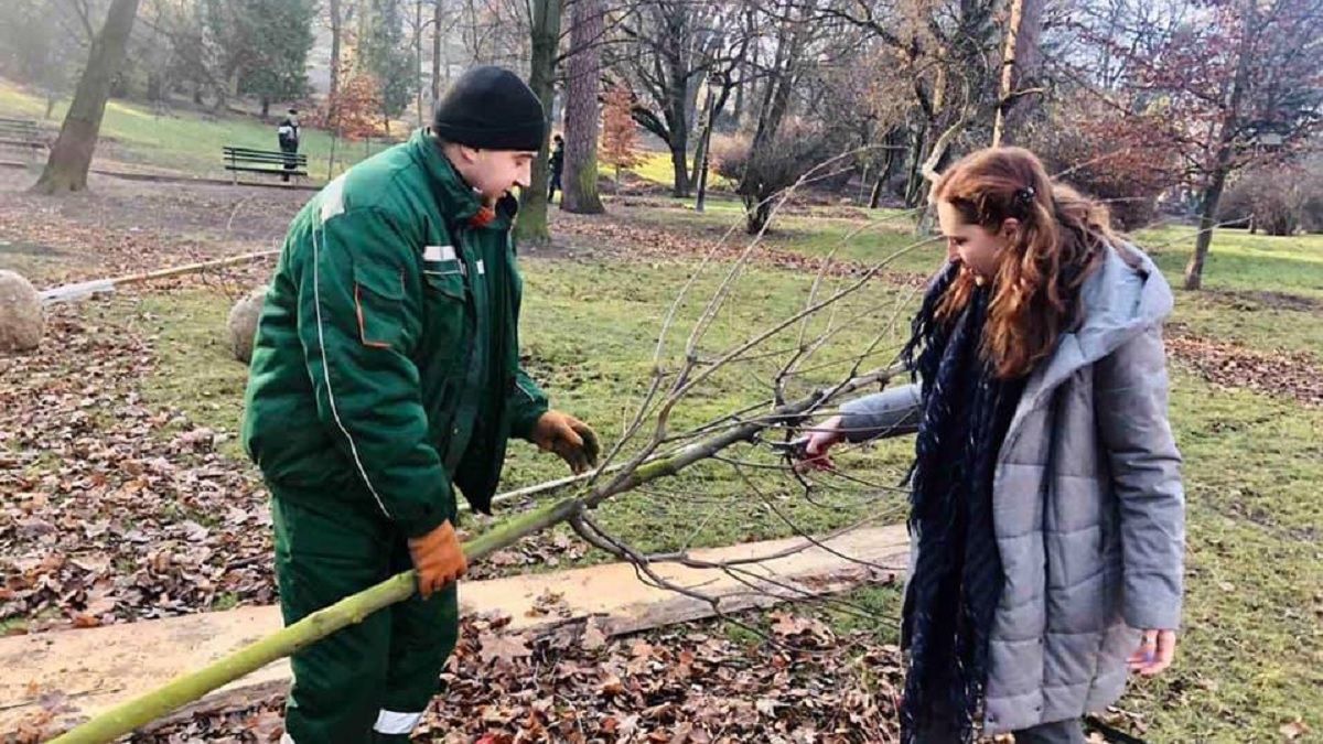 У кожному районі Львова з'явиться свій садівник