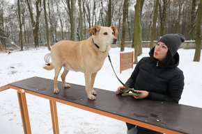 Біля львівського Парку культури відкрили дог-парк
