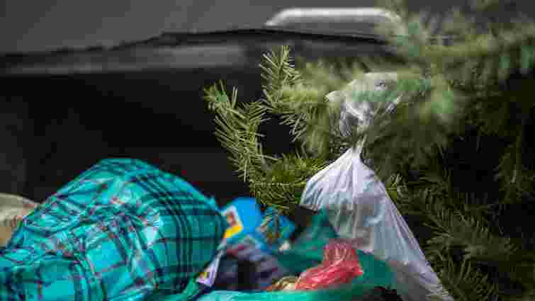 Завтра у Львові ще можна лишити новорічні ялинки біля сміттєвих контейнерів