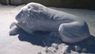 Сільський скульптор ліпить левів зі снігу на Львівщині. Фото дня