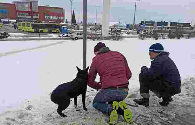 Зоозахисники врятували собаку, залишеного прив'язаним під львівським ТРЦ