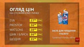 Огляд цін на засіб для чищення туалету «Туалетный Утенок» у мережевих магазинах