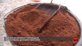 Доріжки львівського парку вперше посипали кавовою гущею