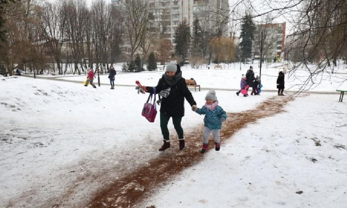 Мерія Кракова використає у парках кавову гущу за прикладом Львова