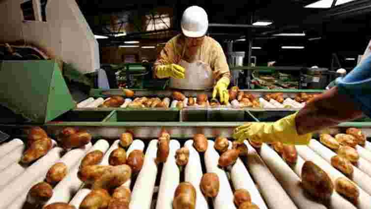 Завод з безвідходної переробки картоплі збудують у Глинянах