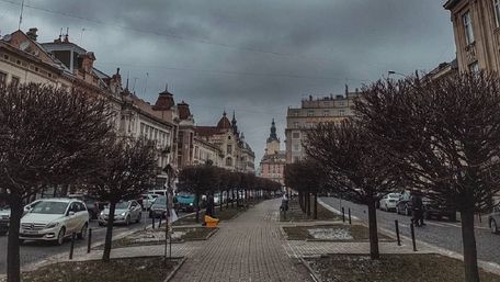 Головні новини Львова за 13 березня