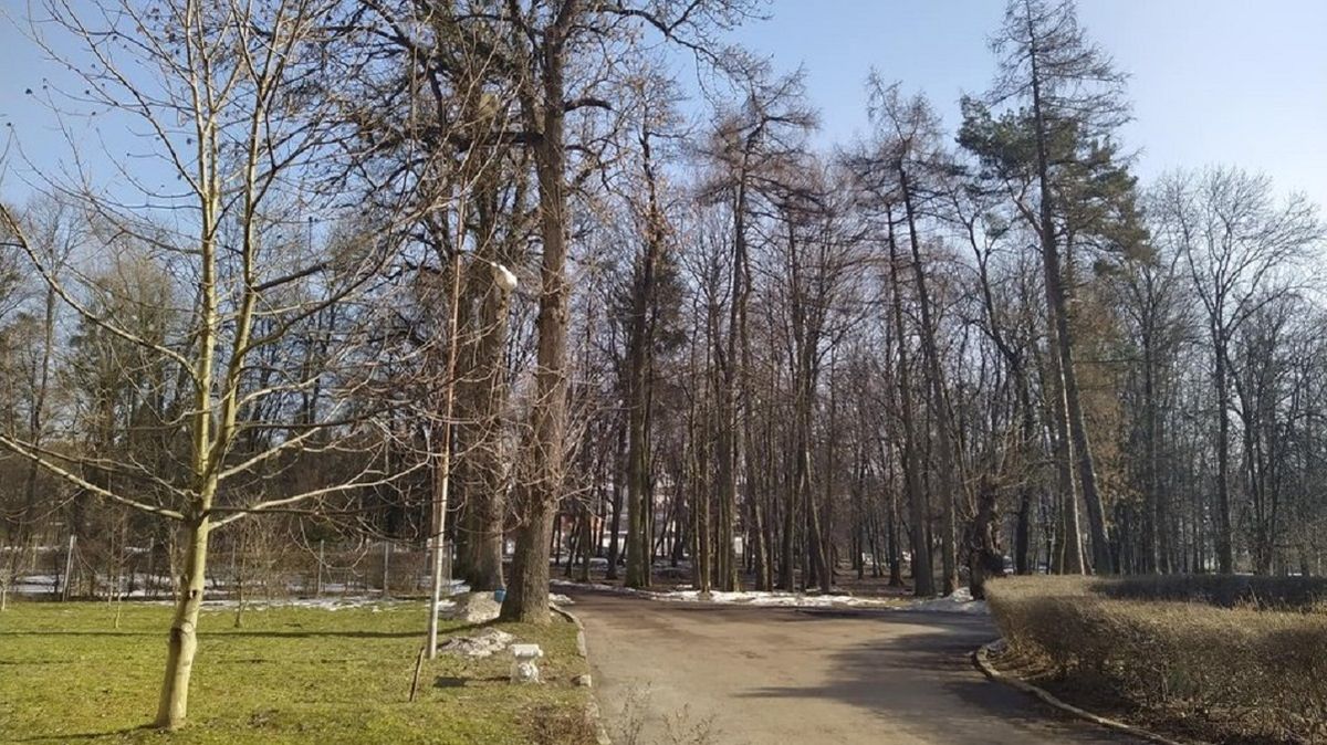 ЛМР погодила створення заповідної зони навколо львівської психлікарні 
