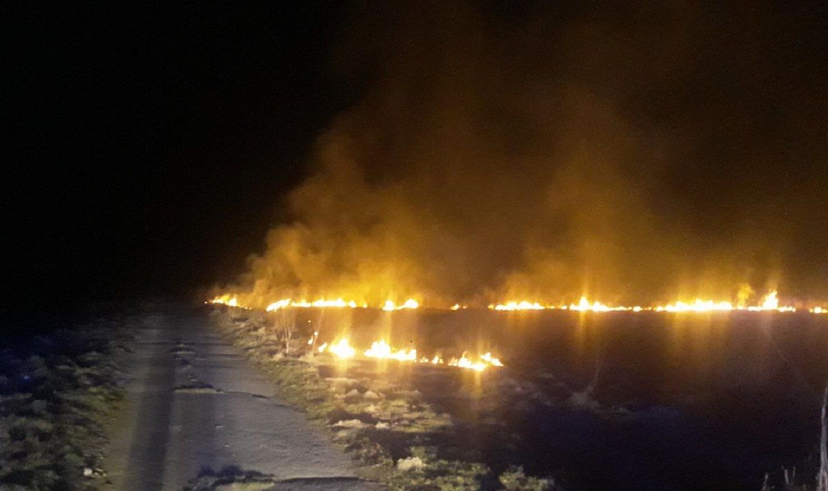 За ніч  на Львівщині рятувальники загасили 19 пожеж сухої трави 