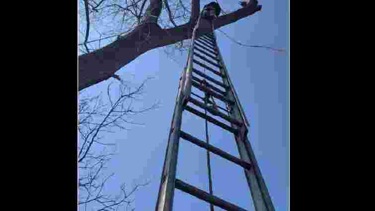 Рятувальникам довелось знімати з дерева 38-річного чоловіка у Рудках