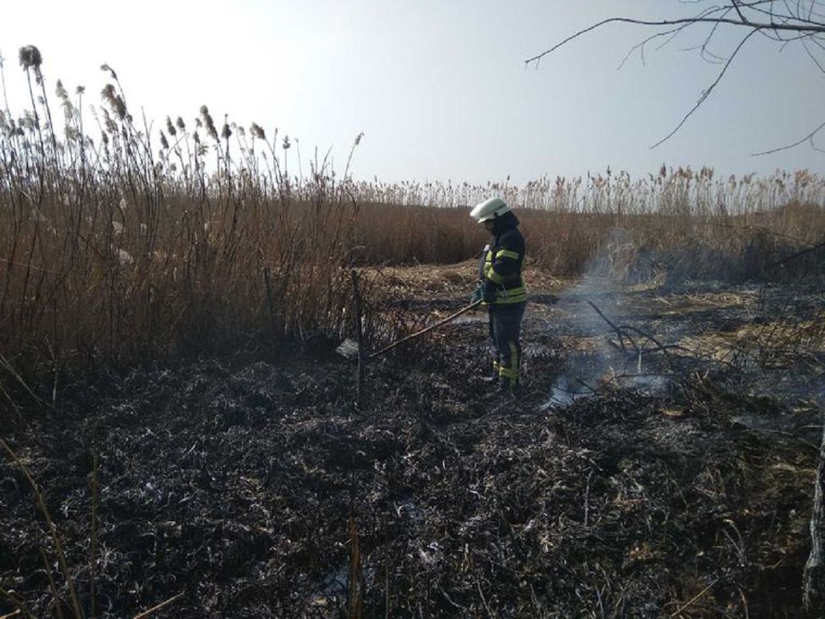 За вихідні на Київщині вигоріло 330 гектарів через спалювання сухостою