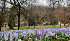 Головні новини Львова за 31 березня