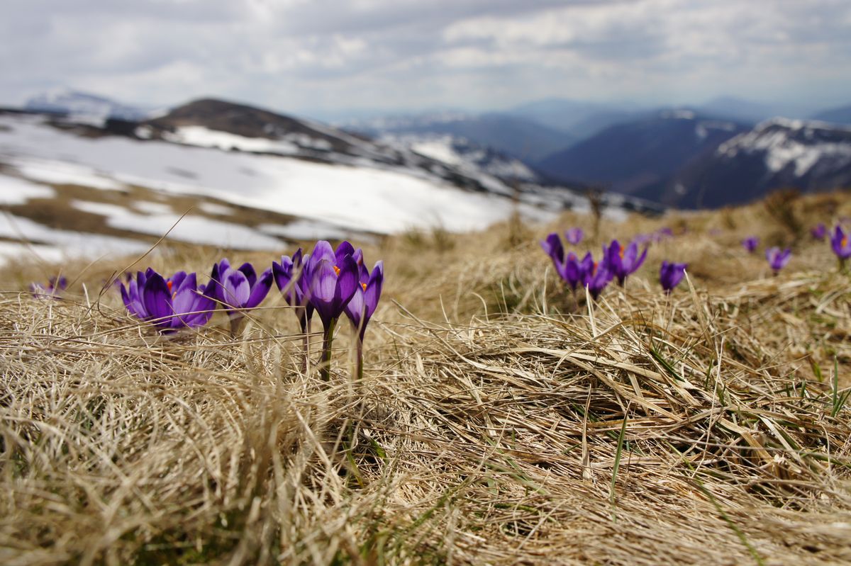 На Львівщині прогнозують похолодання на 10°C та мокрий сніг