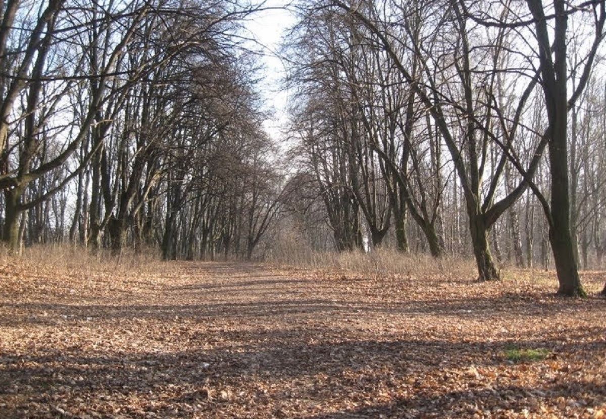 У львівському парку знайшли людські останки