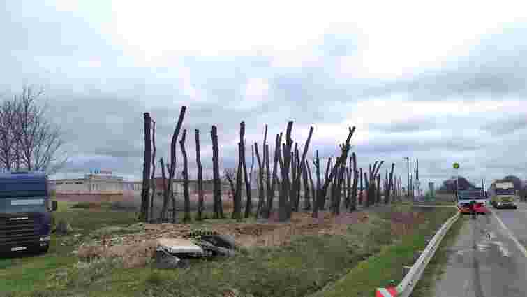 Поліція розслідуватиме варварську обрізку дерев вдовж траси на Львівщині

