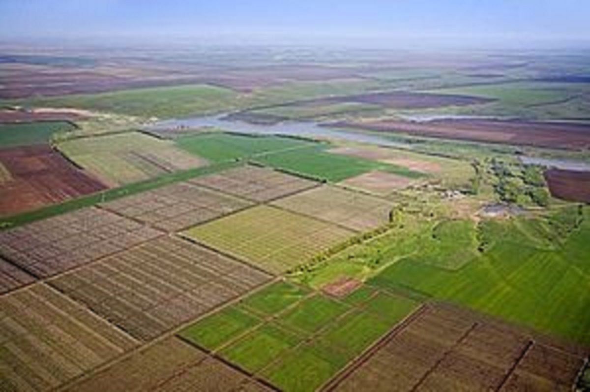 Уряд схвалив законопроект про скасування права на безкоштовні 2 гектари землі