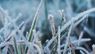 Синоптики попереджають про сильні заморозки до -5°С на Львівщині
