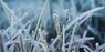 Синоптики попереджають про сильні заморозки до -5°С на Львівщині