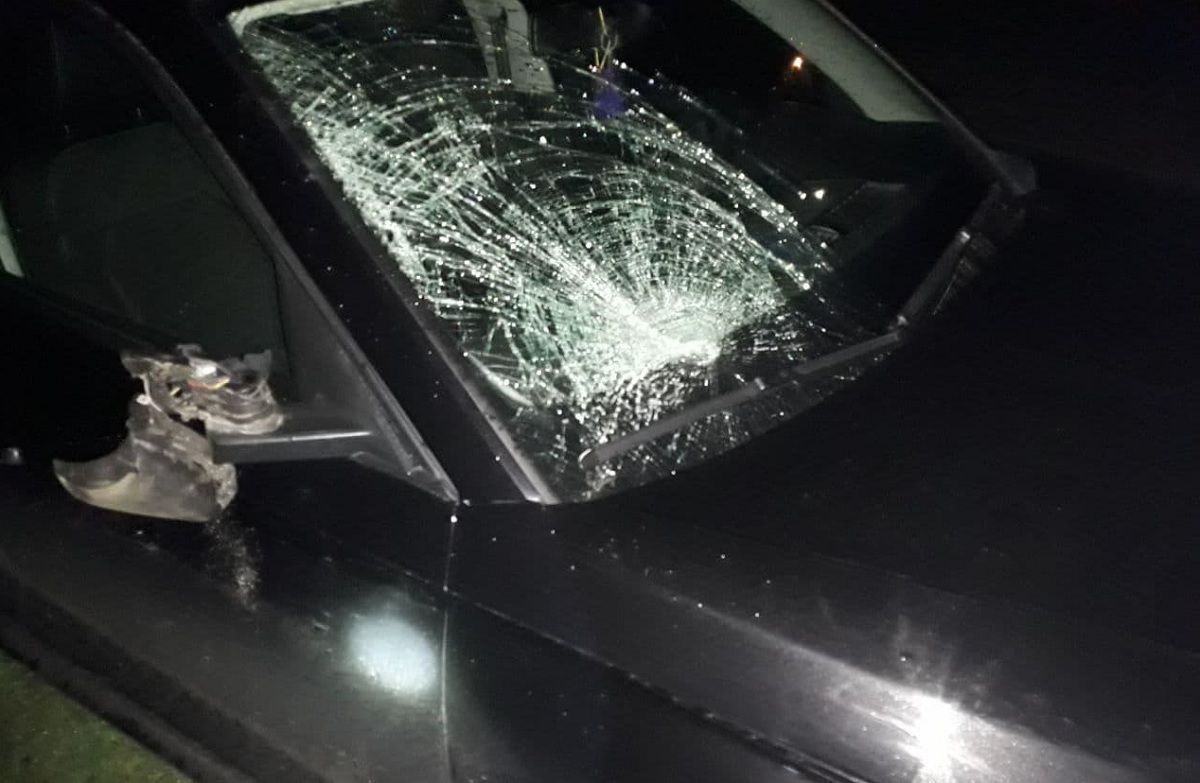 У Золочівському районі під колесами автомобіля загинув 34-річний пішохід