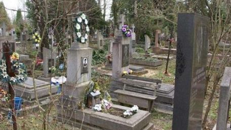 У Львові вирубають 26 гектарів лісу під нові кладовища