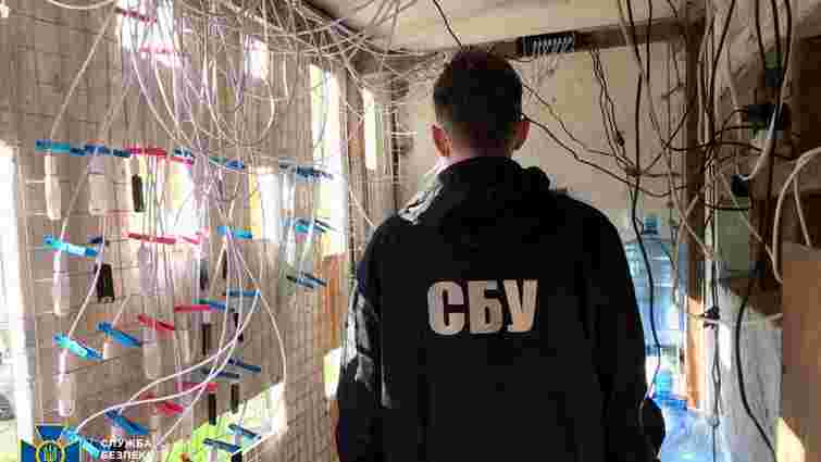 В Одесі СБУ викрила проросійських інтернет-агітаторів та «ботоферму»