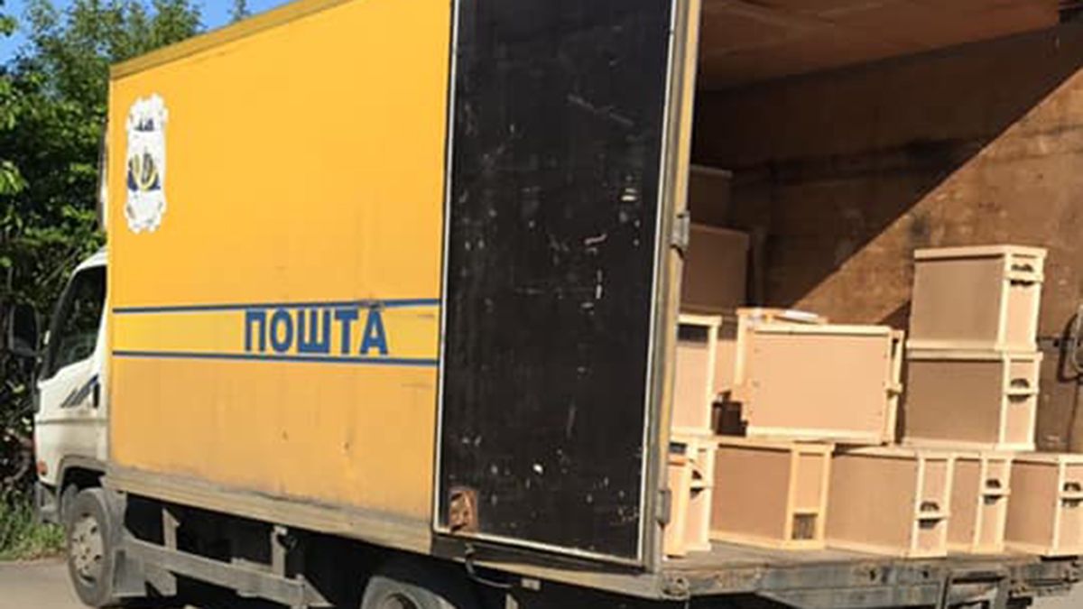 На Закарпатті під час доставки «Укрпоштою» загинули 8 млн бджіл
