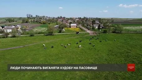 Мешканці села на Львівщині вимагають від Держгеокадастру повернути їм пасовище