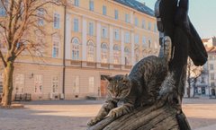 Головні новини Львова за 14 травня