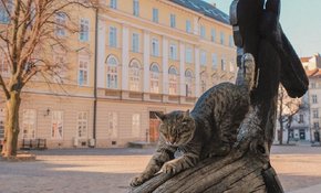 Головні новини Львова за 14 травня