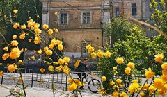 Головні новини Львова за 17 травня