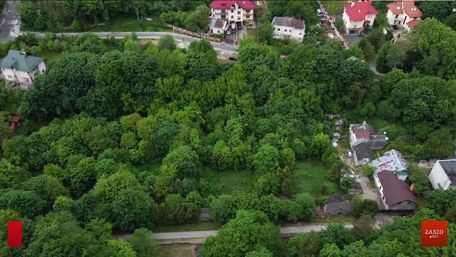 Як виглядає урбан-сад у львівському парку «Залізна вода»