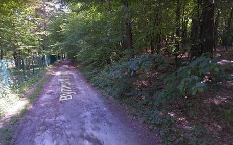 Власниками краденої землі у Брюховичах виявились родичі скандального митника