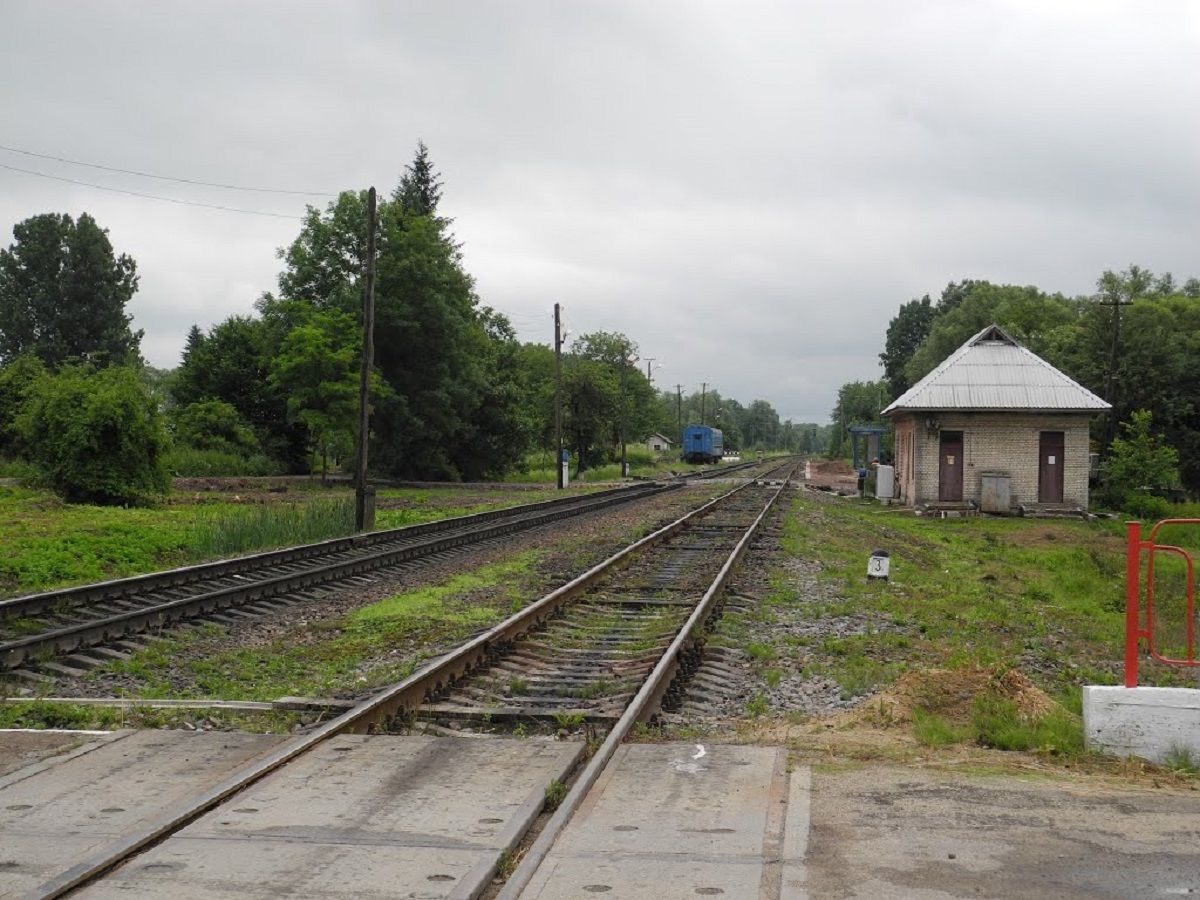У Стрийському районі під колесами поїзда загинула жінка