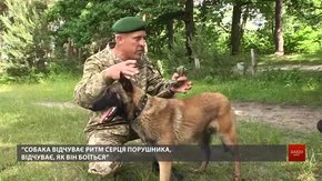 На Львівщині майбутні собаки-прикордонники склали іспити