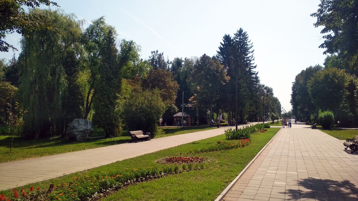У Луцьку щороку висаджуватимуть понад 2000 дерев