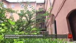 У дворику львівського мистецького центру облаштували зелені острівці