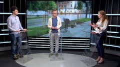 «Нам треба зменшувати кількість газонів на вулицях»