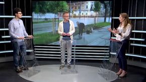 «Нам треба зменшувати кількість газонів на вулицях»