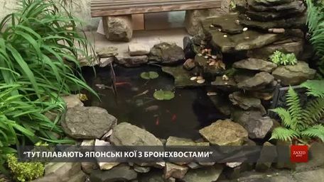 Львів’янин облаштував у внутрішньому дворику будинку фонтан з рибками і клумби 