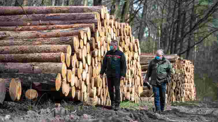 В Україні планують зняти заборону на експорт лісу