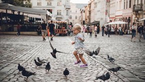 Головні новини Львова за 24 червня