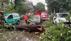 Головні новини Львова за 25 червня