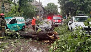 Головні новини Львова за 25 червня