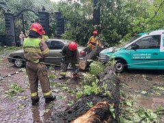 Буря і натиск у Львові