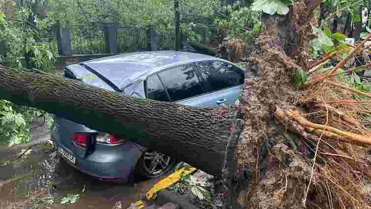Буря у Львові повалила понад 200 дерев та пошкодила 18 автомобілів